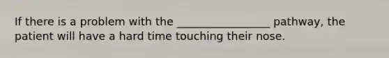 If there is a problem with the _________________ pathway, the patient will have a hard time touching their nose.