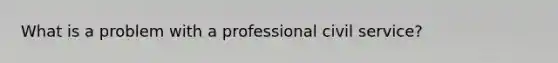 What is a problem with a professional civil service?