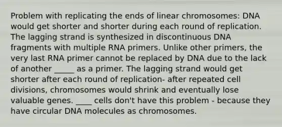 Problem with replicating the ends of linear chromosomes: DNA would get shorter and shorter during each round of replication. The lagging strand is synthesized in discontinuous DNA fragments with multiple RNA primers. Unlike other primers, the very last RNA primer cannot be replaced by DNA due to the lack of another _____ as a primer. The lagging strand would get shorter after each round of replication- after repeated cell divisions, chromosomes would shrink and eventually lose valuable genes. ____ cells don't have this problem - because they have circular DNA molecules as chromosomes.