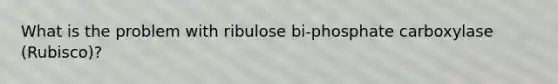 What is the problem with ribulose bi-phosphate carboxylase (Rubisco)?