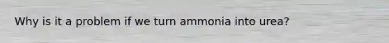 Why is it a problem if we turn ammonia into urea?