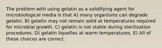 The problem with using gelatin as a solidifying agent for microbiological media is that A) many organisms can degrade gelatin. B) gelatin may not remain solid at temperatures required for microbial growth. C) gelatin is not stable during sterilization procedures. D) gelatin liquefies at warm temperatures. E) All of these choices are correct.