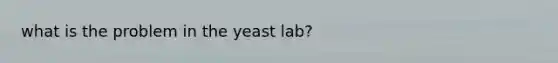 what is the problem in the yeast lab?