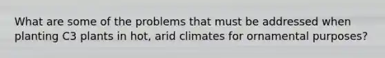 What are some of the problems that must be addressed when planting C3 plants in hot, arid climates for ornamental purposes?