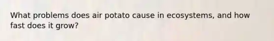 What problems does air potato cause in ecosystems, and how fast does it grow?