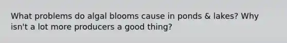 What problems do algal blooms cause in ponds & lakes? Why isn't a lot more producers a good thing?