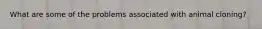 What are some of the problems associated with animal cloning?