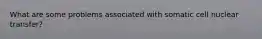 What are some problems associated with somatic cell nuclear transfer?