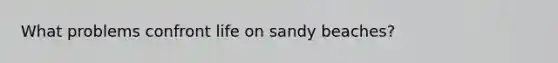 What problems confront life on sandy beaches?