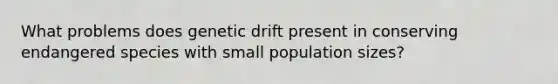 What problems does genetic drift present in conserving endangered species with small population sizes?