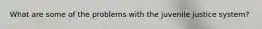 What are some of the problems with the juvenile justice system?