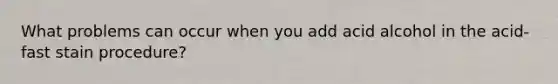 What problems can occur when you add acid alcohol in the acid-fast stain procedure?