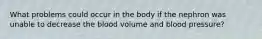 What problems could occur in the body if the nephron was unable to decrease the blood volume and blood pressure?