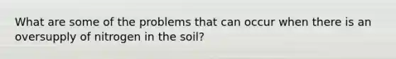 What are some of the problems that can occur when there is an oversupply of nitrogen in the soil?