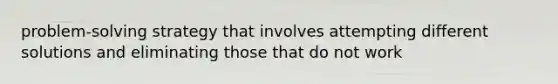 problem-solving strategy that involves attempting different solutions and eliminating those that do not work