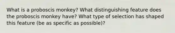 What is a proboscis monkey? What distinguishing feature does the proboscis monkey have? What type of selection has shaped this feature (be as specific as possible)?