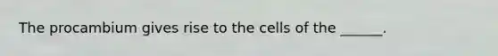 The procambium gives rise to the cells of the ______.