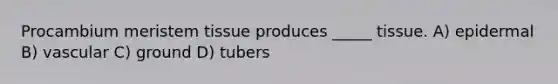 Procambium meristem tissue produces _____ tissue. A) epidermal B) vascular C) ground D) tubers
