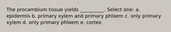 The procambium tissue yields __________. Select one: a. epidermis b. primary xylem and primary phloem c. only primary xylem d. only primary phloem e. cortex