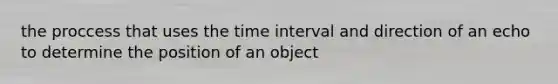 the proccess that uses the time interval and direction of an echo to determine the position of an object