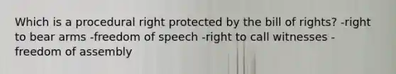 Which is a procedural right protected by the bill of rights? -right to bear arms -freedom of speech -right to call witnesses -freedom of assembly