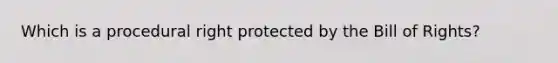 Which is a procedural right protected by the Bill of Rights?