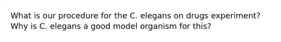 What is our procedure for the C. elegans on drugs experiment? Why is C. elegans a good model organism for this?