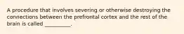 A procedure that involves severing or otherwise destroying the connections between the prefrontal cortex and the rest of the brain is called __________.