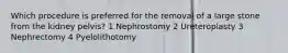 Which procedure is preferred for the removal of a large stone from the kidney pelvis? 1 Nephrostomy 2 Ureteroplasty 3 Nephrectomy 4 Pyelolithotomy