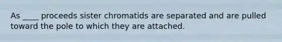 As ____ proceeds sister chromatids are separated and are pulled toward the pole to which they are attached.