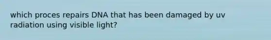 which proces repairs DNA that has been damaged by uv radiation using visible light?