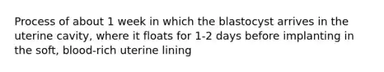 Process of about 1 week in which the blastocyst arrives in the uterine cavity, where it floats for 1-2 days before implanting in the soft, blood-rich uterine lining