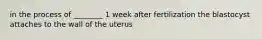 in the process of ________ 1 week after fertilization the blastocyst attaches to the wall of the uterus