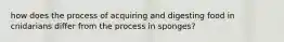 how does the process of acquiring and digesting food in cnidarians differ from the process in sponges?