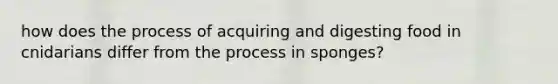 how does the process of acquiring and digesting food in cnidarians differ from the process in sponges?