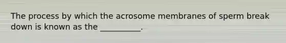 The process by which the acrosome membranes of sperm break down is known as the __________.