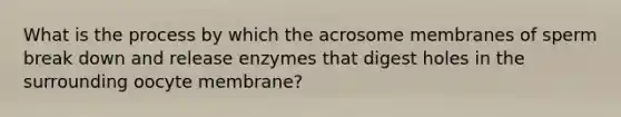 What is the process by which the acrosome membranes of sperm break down and release enzymes that digest holes in the surrounding oocyte membrane?