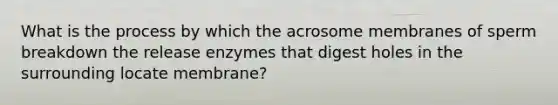 What is the process by which the acrosome membranes of sperm breakdown the release enzymes that digest holes in the surrounding locate membrane?