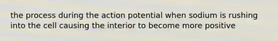 the process during the action potential when sodium is rushing into the cell causing the interior to become more positive