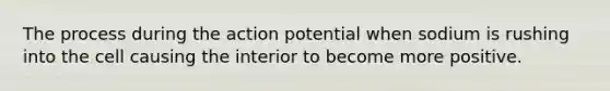 The process during the action potential when sodium is rushing into the cell causing the interior to become more positive.