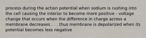 process during the action potential when sodium is rushing into the cell causing the interior to become more positive - voltage change that occurs when the difference in charge across a membrane decreases . . . thus membrane is depolarized when its potential becomes less negative