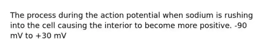 The process during the action potential when sodium is rushing into the cell causing the interior to become more positive. -90 mV to +30 mV