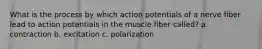 What is the process by which action potentials of a nerve fiber lead to action potentials in the muscle fiber called? a. contraction b. excitation c. polarization