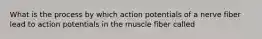 What is the process by which action potentials of a nerve fiber lead to action potentials in the muscle fiber called