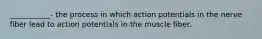 ___________- the process in which action potentials in the nerve fiber lead to action potentials in the muscle fiber.