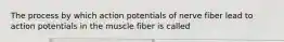 The process by which action potentials of nerve fiber lead to action potentials in the muscle fiber is called