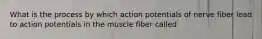 What is the process by which action potentials of nerve fiber lead to action potentials in the muscle fiber called