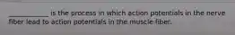 ____________ is the process in which action potentials in the nerve fiber lead to action potentials in the muscle fiber.