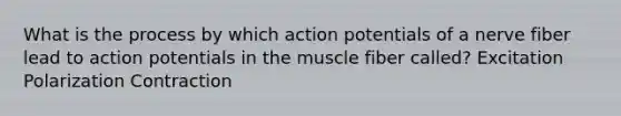 What is the process by which action potentials of a nerve fiber lead to action potentials in the muscle fiber called? Excitation Polarization Contraction