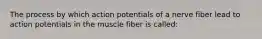 The process by which action potentials of a nerve fiber lead to action potentials in the muscle fiber is called: